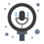 microphone icon