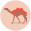 Camel icon