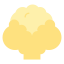 菜花 icon