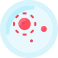 petri dish icon