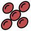 Blood Cells icon