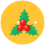 Christmas Wreath icon