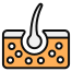 모낭 icon