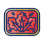 kimchi icon