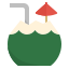 coconut drink icon