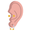 La perforación del oído icon