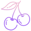 cherry icon