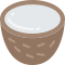 coconut icon