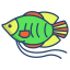 외부-난쟁이-구라미-물고기-물고기-icongeek26-선형-색상-icongeek26 icon