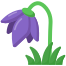 Tulpe icon