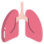 Lungs icon