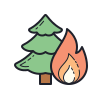 incendio forestal icon