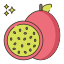 Passion Fruit icon