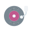 vinyl icon