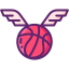 外部翼-バスケットボール-フラティコン-線形-色-フラット-アイコン icon