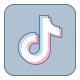 的TikTok icon