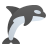 Orca icon