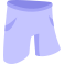 shorts icon