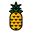 pineapple icon