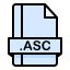 external-asc-text-file-extension-creatype-filed-outline-colorcreate-2 icon