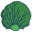 Radicchio Leaf icon