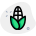 명절철의 흔한 요리인 옥수수 구이-추수감사절-녹색-탈-리바이보 icon