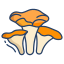 chanterelle mushrooms icon