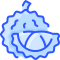 durian icon