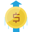 Coin icon