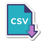 Export CSV icon