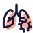 Lung Disease icon