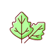 Lambsquarters icon