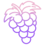 Uvas icon