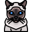 Gato icon