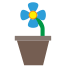 Цветок icon