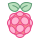 Raspberry Pi icon