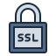 SSL icon