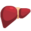 Fígado icon