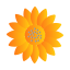 sunflower icon