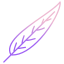 gum tree leaf icon