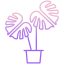 太陽の下の植物 icon