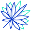 Sabal Palm Leaf icon
