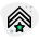 Star level officer with double stripe insignia icon