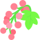redcurrant icon