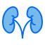 externe-nierengesunde-medizinische-kreatypie-blaufeld-farbkreatypie icon