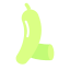 Bottle Gourd icon