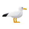 3d fluency style seagull icon