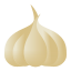 garlic icon