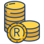 south african rand icon
