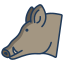 Wild Pig icon